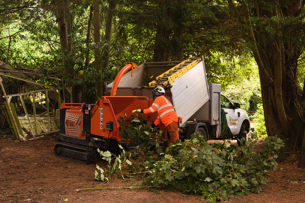 Tree chipping for biofuels