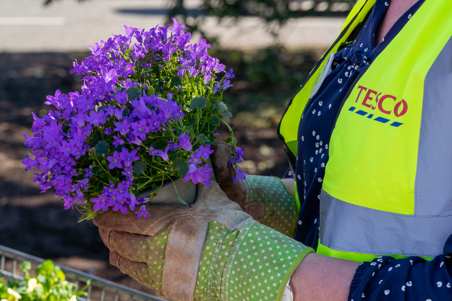 Tesco Thornbury Community Garden