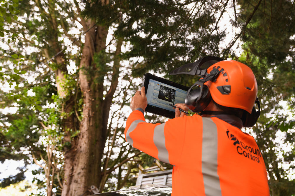 Tree and habitat surveys