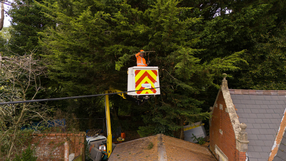 Mute tree clearance work