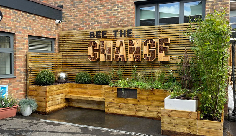 Bee the change urban garden