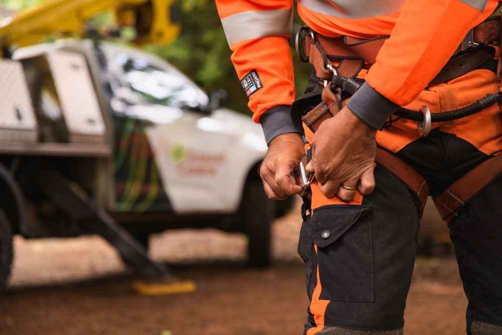 Utility Arboriculture harnessing up