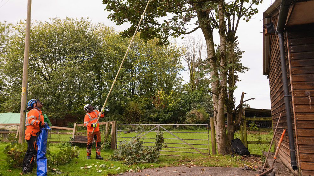 Utility arboriculture rodding work